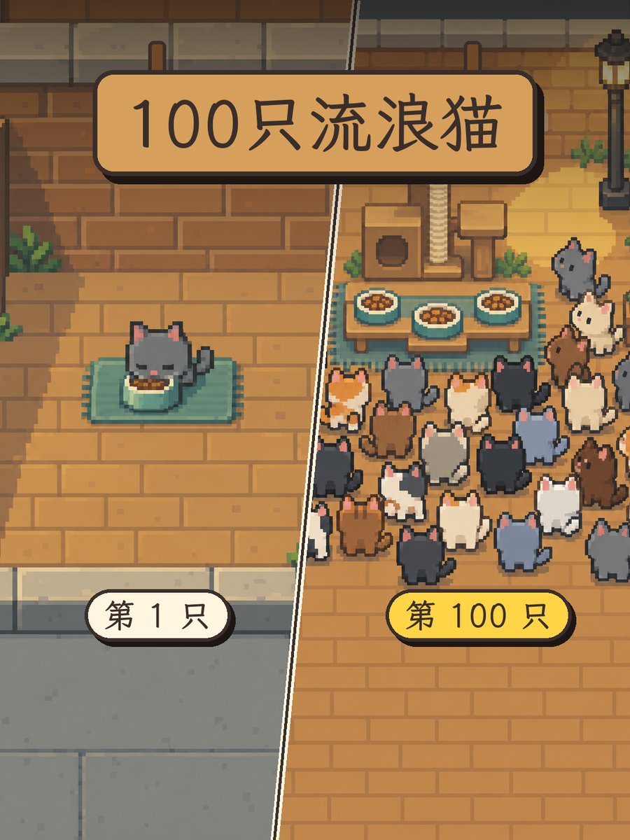 这一百只流浪猫，都是我喂熟的