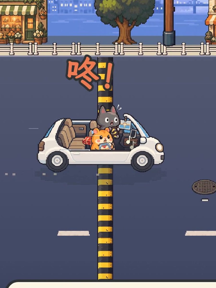 开车去看日出